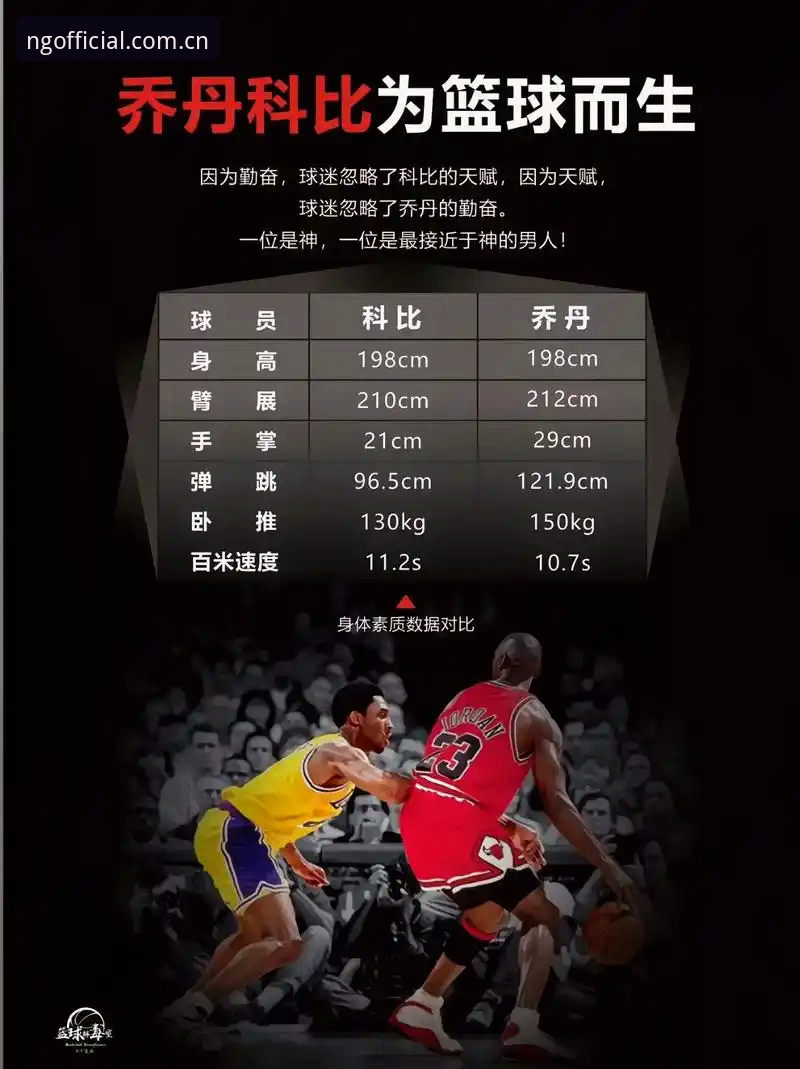 收藏NG官方主页怎么下载？跑了三天现场，我把对比数据全摊开给你看